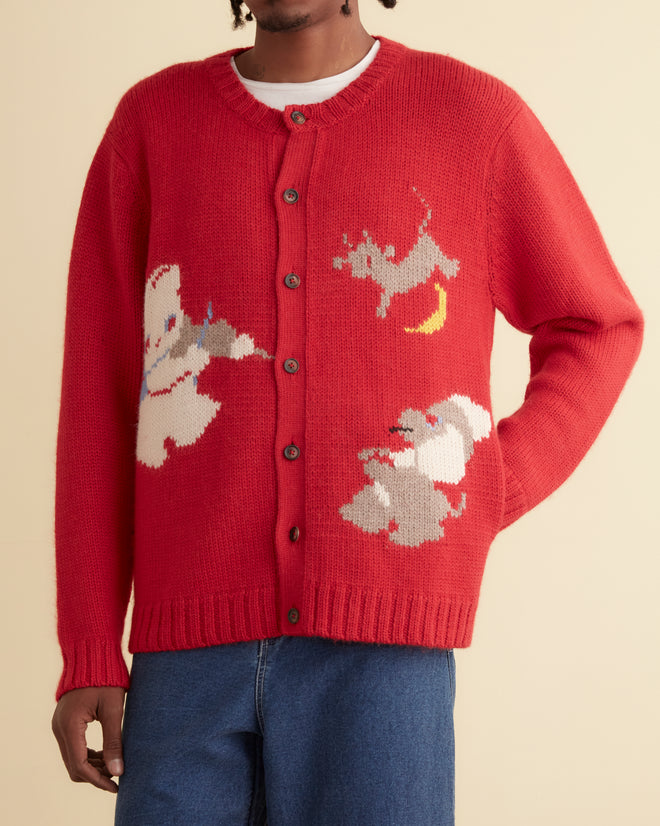 Novelty Prose Cardigan MENS KNIT TOPS BODE New York