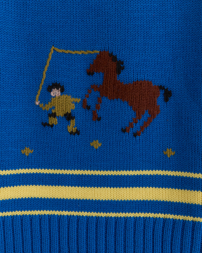 Pony Lasso Sweater - Blue Multi KNITWEAR BODE New York