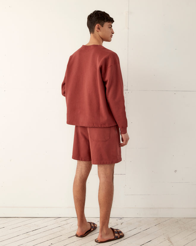 Embroidered Pony Crewneck - Brown CUT AND SEW BODE New York