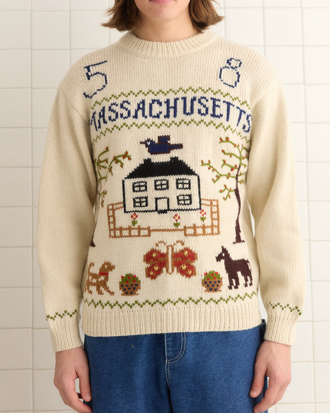 Wearing the Homestead Sampler Sweater featuring "Massachusetts" and delightful farm-themed designs, a person stands against a tiled wall, showcasing their love for detailed knitwear.