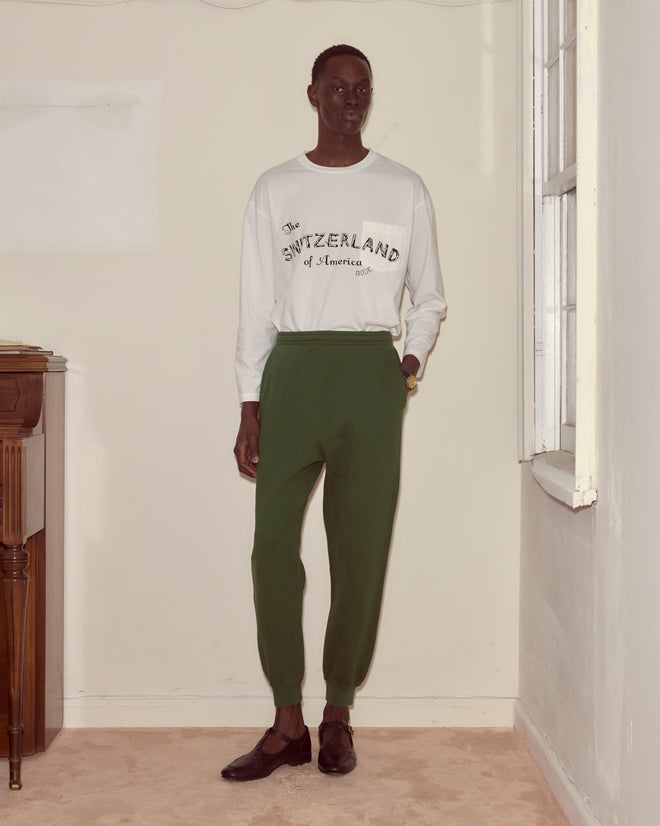 Person standing indoors by a window, wearing a "Switzerland of America" shirt and Joggers - Dark Green.