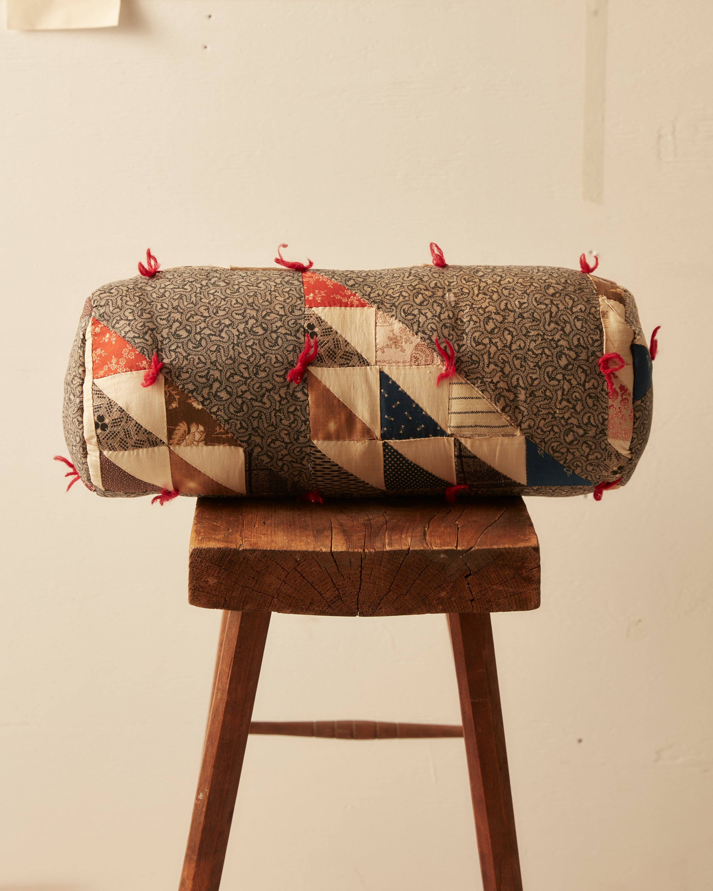 Biology Quilt Pillow BODE