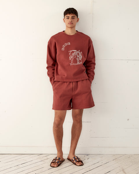EMBROIDEREDPONYCREWNECKBROWN_1